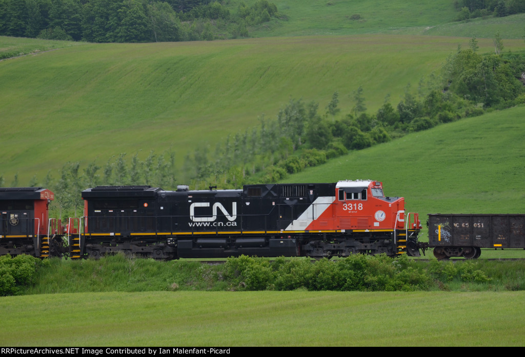 CN 3318